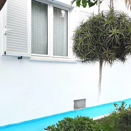 Grazioso E Comodo Al Centro Forio di Ischia