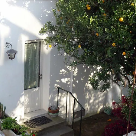 Grazioso E Comodo Al Centro * Forio di Ischia