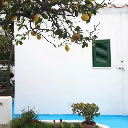 Grazioso E Comodo Al Centro Apartment Forio (Isola d'Ischia)