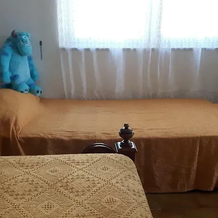 Grazioso E Comodo Al Centro Apartment